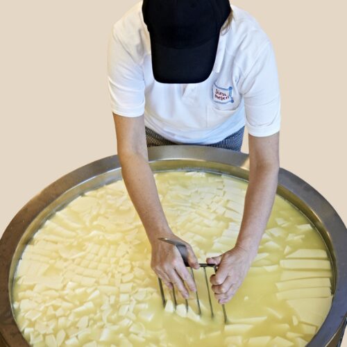 Curd Churning